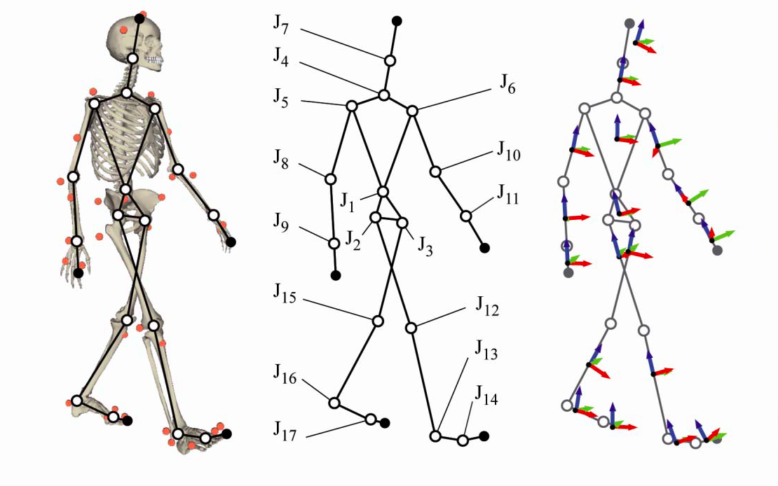 Biomechanics Of Human Movement And Multibody Dynamics Biomec