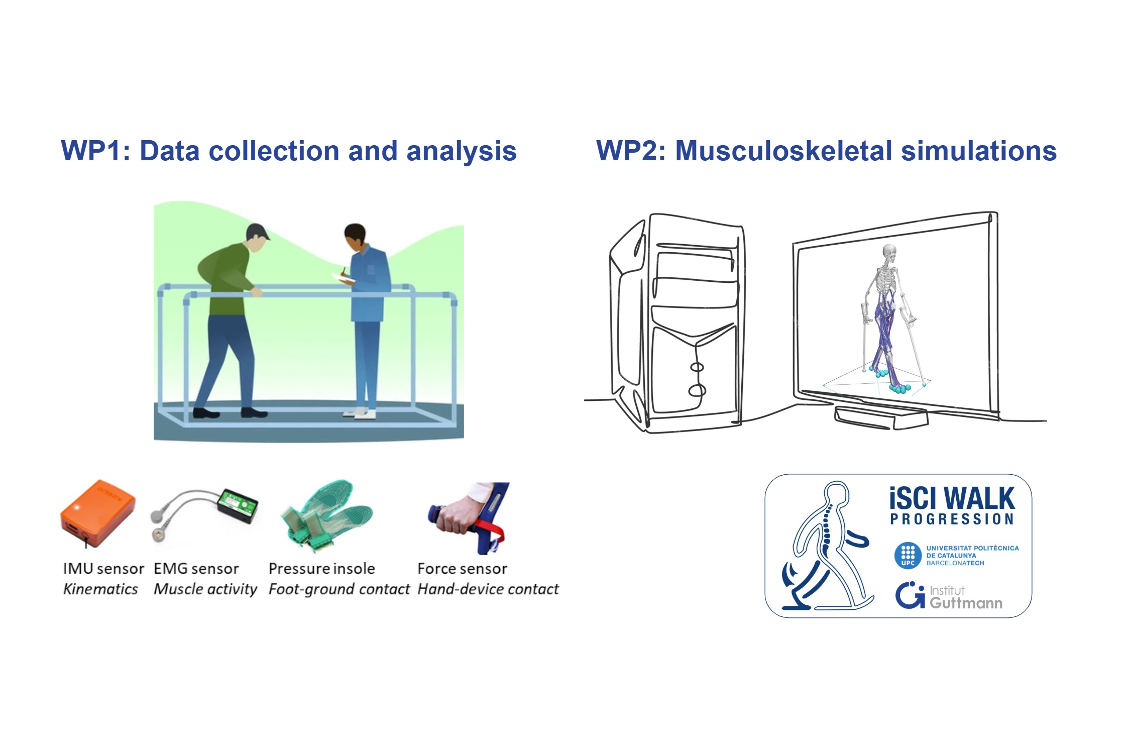 Understanding walking progression in patients with incomplete spinal cord injury through gait analysis and predictive simulations. A pilot study